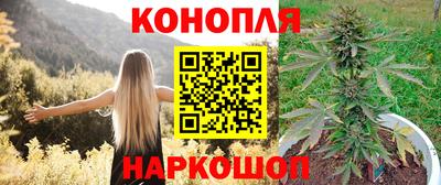 a pvp Владимир